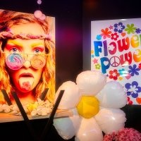 Flower Power 2024 - Fotos - Acanthus