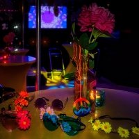 Flower Power 2024 - Fotos - Acanthus
