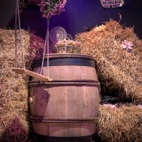Western 2024 - Fotos - Acanthus