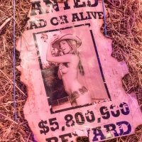 Western 2024 - Fotos - Acanthus