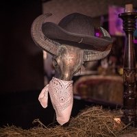 Western 2024 - Fotos - Acanthus