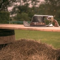 Coyote 2024 - Fotos - Acanthus