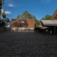 Acbd 2025 - Photos - Acanthus