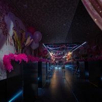 Acbd 2025 - Photos - Acanthus