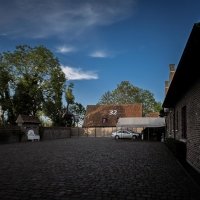 Acbd 2025 - Photos - Acanthus