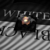 Black And White 2025 - Photos - Acanthus
