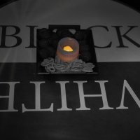 Black And White 2025 - Photos - Acanthus