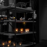 Black And White 2025 - Photos - Acanthus