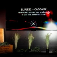 Slipless 2025 - Photos - Acanthus