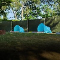 Slipless 2025 - Photos - Acanthus