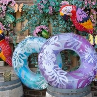 Slipless 2025 - Photos - Acanthus