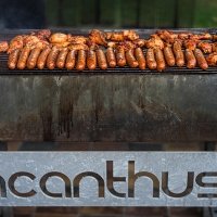 Xxx Summertime    - Photos - Acanthus