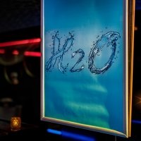 Cocktails 2025 - Photos - Acanthus