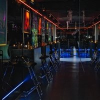 Cocktails 2025 - Photos - Acanthus