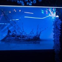 Schuimparty 2025 - Photos - Acanthus