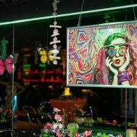 Flower Power 2025 - Photos - Acanthus