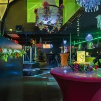 Flower Power 2025 - Photos - Acanthus