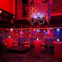 Soiree Putes 2025 - Photos - Acanthus