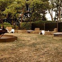 Western 2025 - Photos - Acanthus