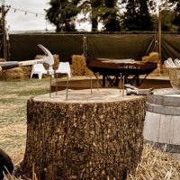Western 2025 - Photos - Acanthus