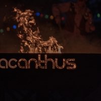 Western 2025 - Photos - Acanthus