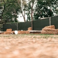 Coyote 2025 - Photos - Acanthus