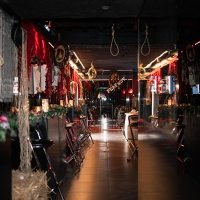 Coyote 2025 - Photos - Acanthus