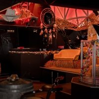 Coyote 2025 - Photos - Acanthus