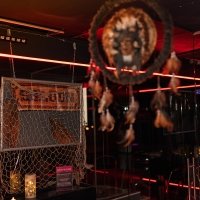 Coyote 2025 - Photos - Acanthus