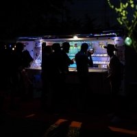 Coyote 2025 - Photos - Acanthus