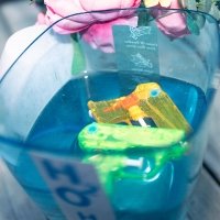 H2o 2025 - Photos - Acanthus