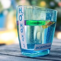 H2o 2025 - Photos - Acanthus