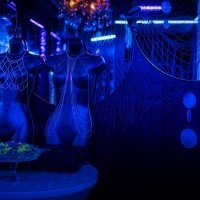 Topless 2025 - Photos - Acanthus
