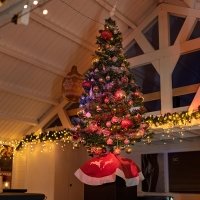 Christmas Market 2025 - Photos - Acanthus