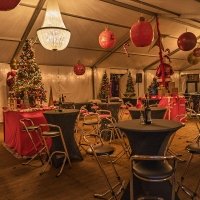 Nye 2025 - Photos - Acanthus