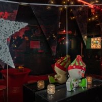 Nye 2025 - Photos - Acanthus