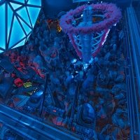 Nye 2025 - Photos - Acanthus