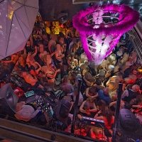 Nye 2025 - Photos - Acanthus