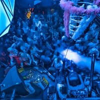 Nye 2025 - Photos - Acanthus