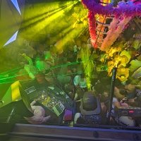 Nye 2025 - Photos - Acanthus