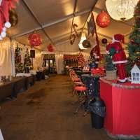 Nye 2025 - Photos - Acanthus