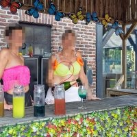 Summertime 2026 - Fotos - Acanthus