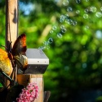 H2o 2026 - Photos - Acanthus