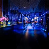 H2o 2026 - Photos - Acanthus