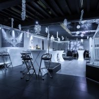 White 2026 - Photos - Acanthus