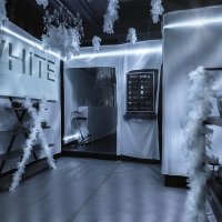 White 2026 - Photos - Acanthus