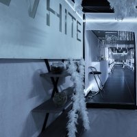White 2026 - Photos - Acanthus