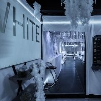 White 2026 - Photos - Acanthus