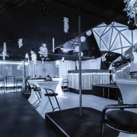 White 2026 - Photos - Acanthus