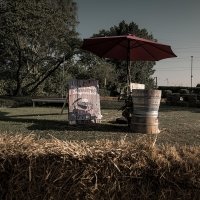 Western 2026 - Photos - Acanthus